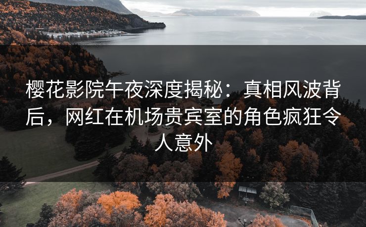 樱花影院午夜深度揭秘：真相风波背后，网红在机场贵宾室的角色疯狂令人意外